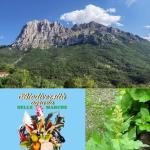 Monte Bove, biodiversità, orapi.